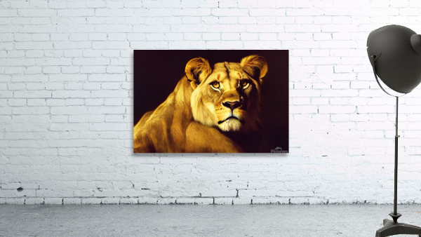 Lioness Wall Preview