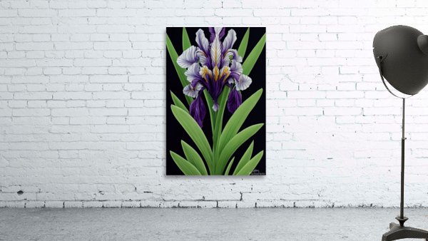 Fleur-De-Lis Iris Pseudacorus Wall Preview