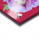 peony24 Acrylic print