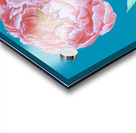 peony30 Acrylic print