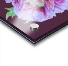 peony28 Acrylic print