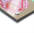 peony33 Acrylic print