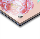 peony34 Acrylic print
