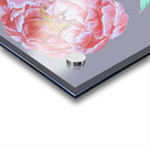 peony38 Acrylic print