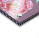peony37 Acrylic print