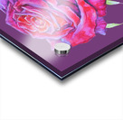 rosa13 Acrylic print