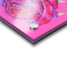 Rose16 Acrylic print
