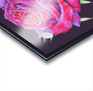 rosa15 Acrylic print