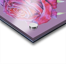 rosa5 Acrylic print