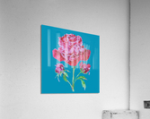 peony5 Acrylic Print