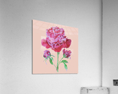 peony6 Acrylic Print