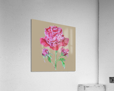 peony7 Acrylic Print