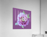 peony25 Acrylic Print