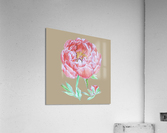 peony33 Acrylic Print