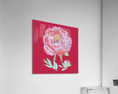 peony35 Acrylic Print