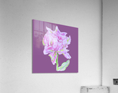 tulip36 Acrylic Print