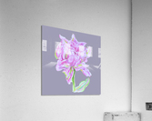tulip37 Acrylic Print