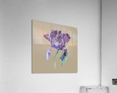 tulip205 Acrylic Print