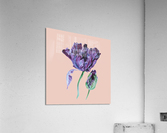tulip203 Acrylic Print