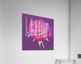 rosa13 Acrylic Print