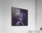 tulip304 Acrylic Print