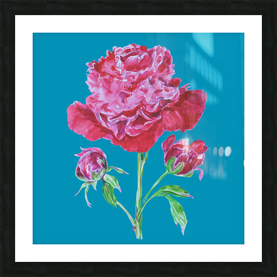 peony5 Picture Frame print