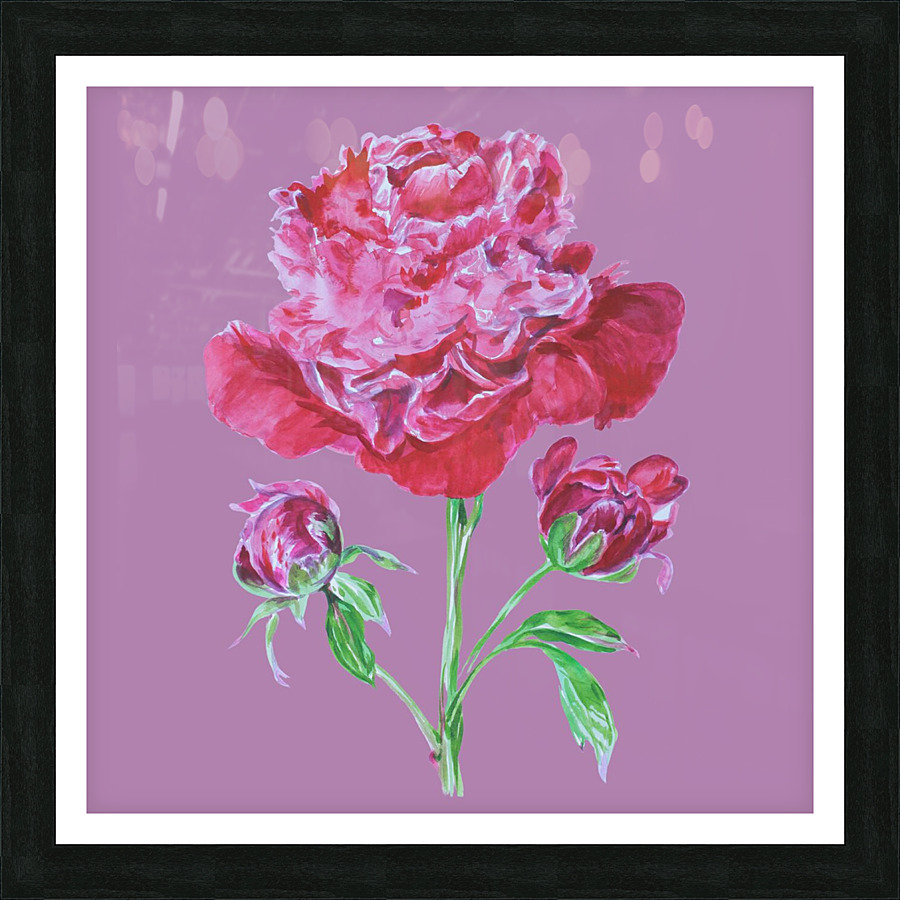 peony4 Picture Frame print