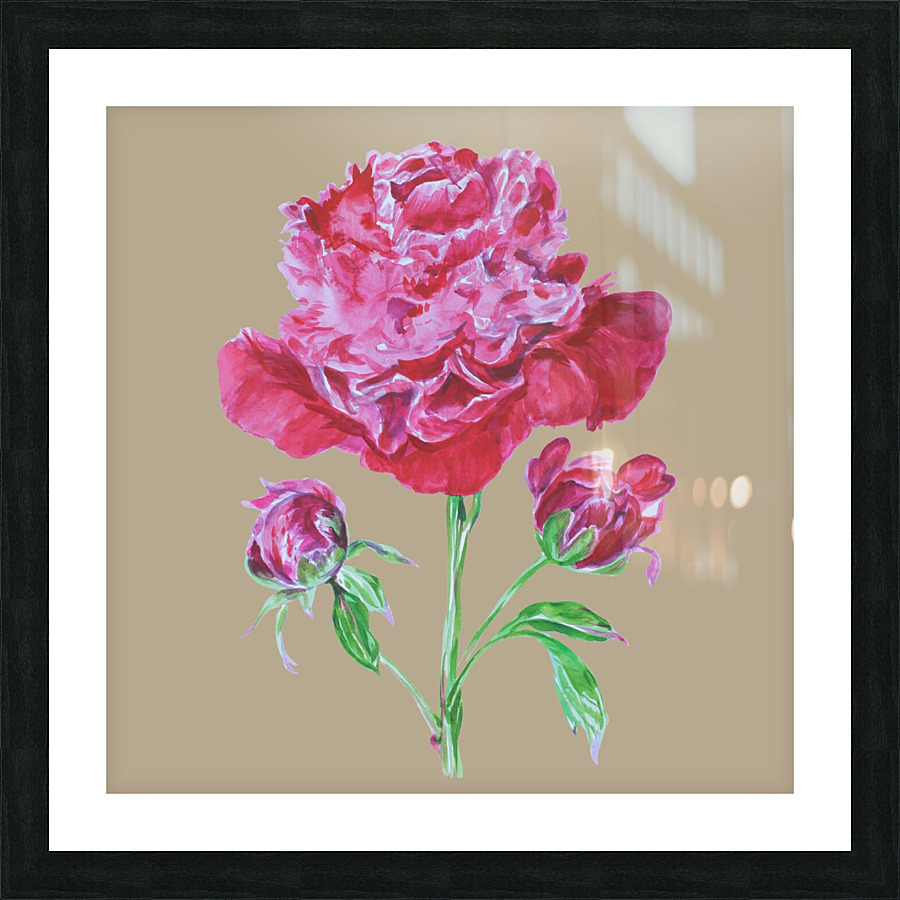 peony7 Picture Frame print