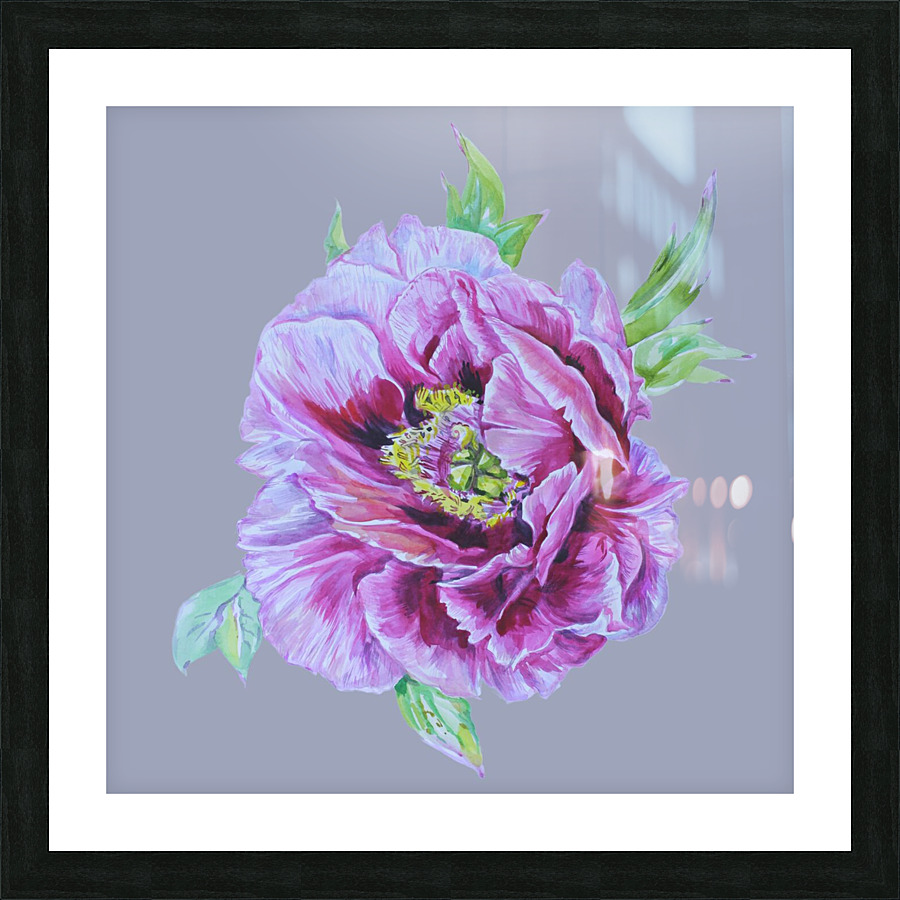 peony27 Picture Frame print