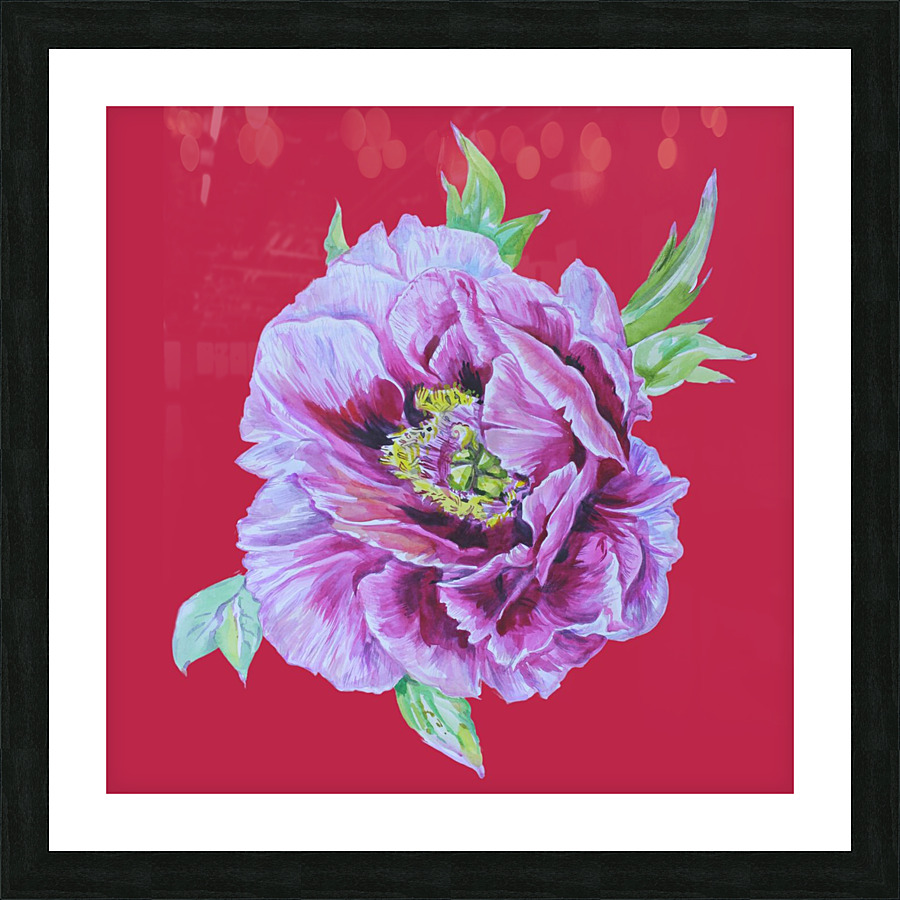 peony24 Picture Frame print
