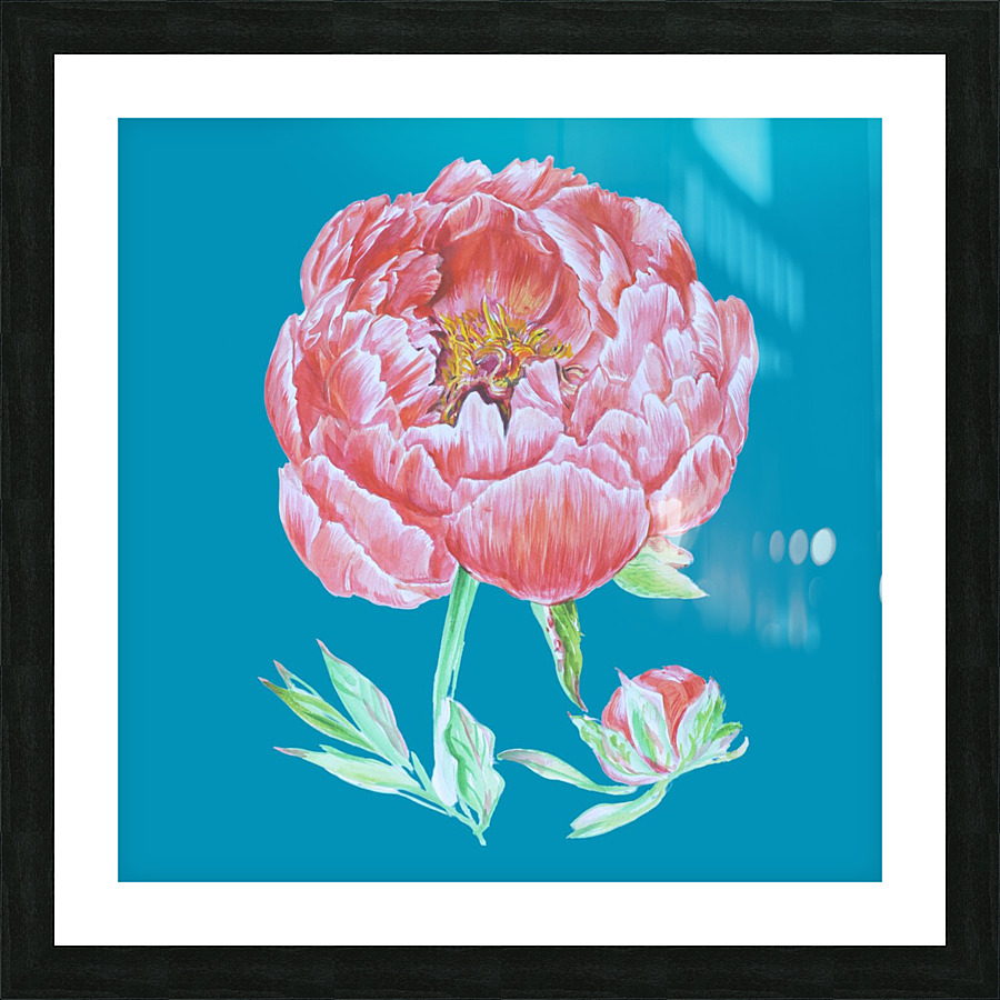 peony30 Picture Frame print