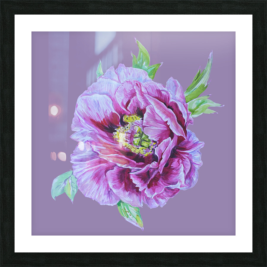 peony26 Picture Frame print