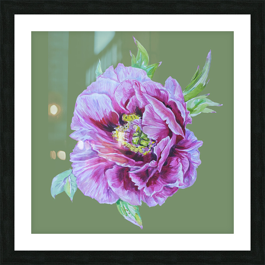 peony29 Picture Frame print