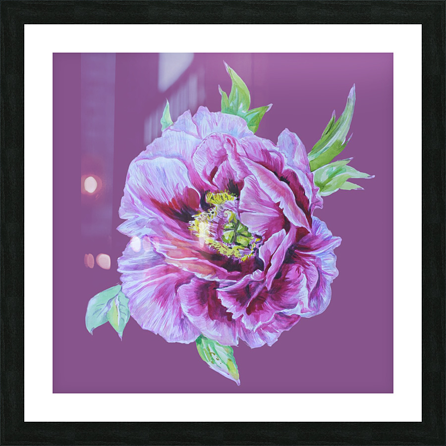 peony25 Picture Frame print