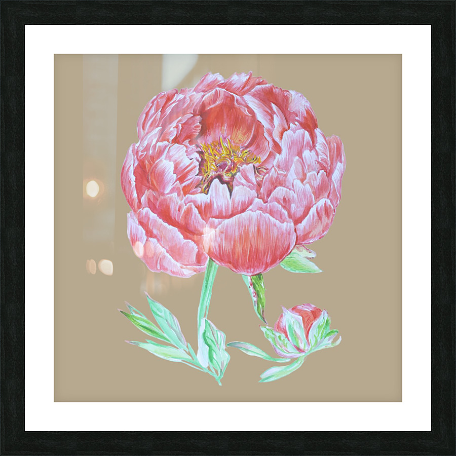 peony33 Picture Frame print