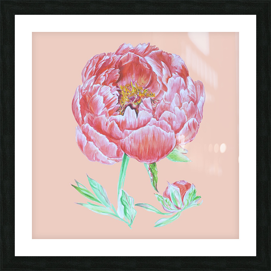 peony34 Picture Frame print
