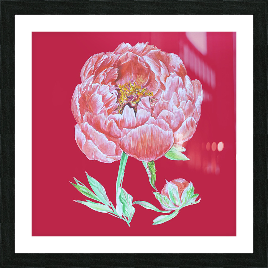 peony35 Picture Frame print