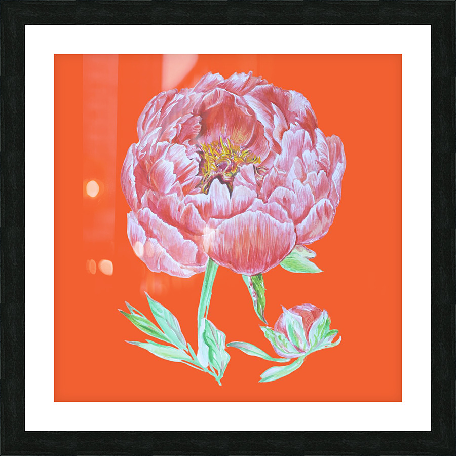 peony39 Picture Frame print