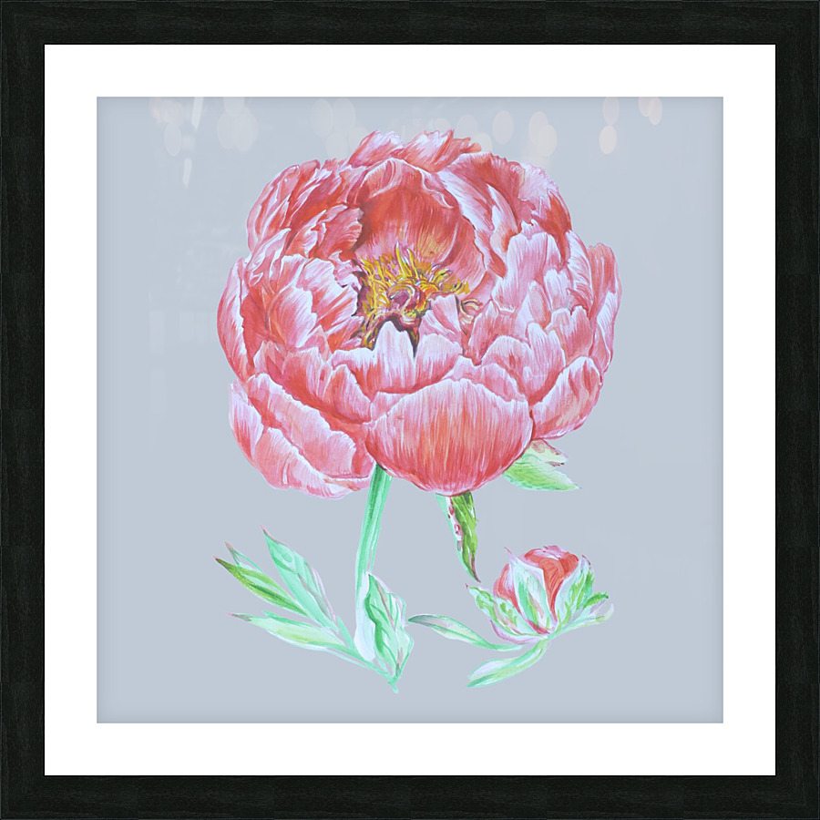 peony32 Picture Frame print