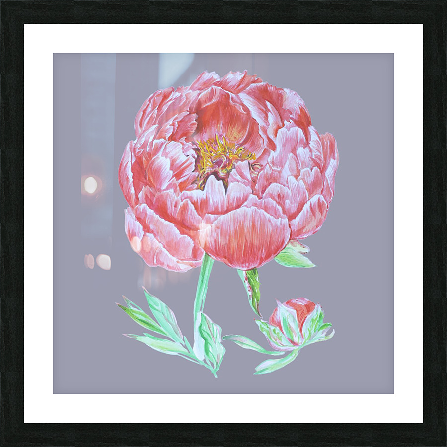 peony38 Picture Frame print