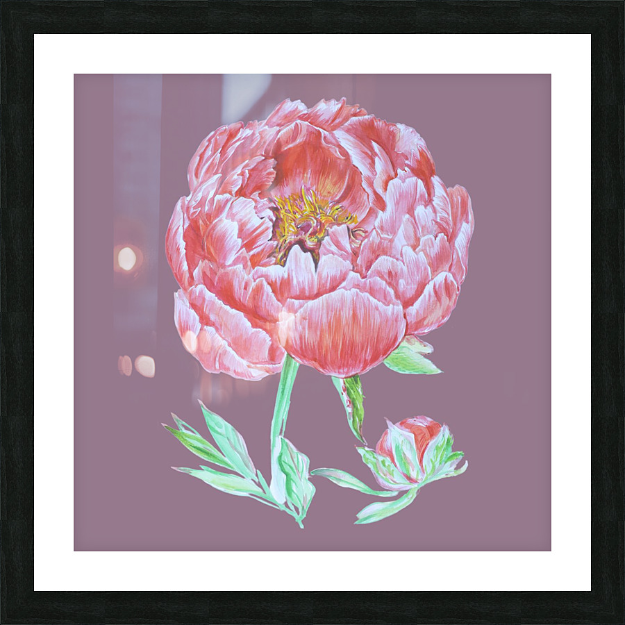 peony37 Picture Frame print
