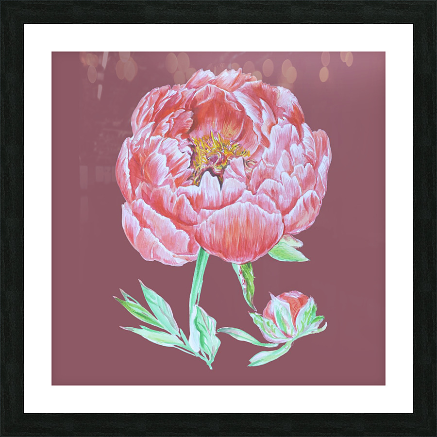 peony36 Picture Frame print