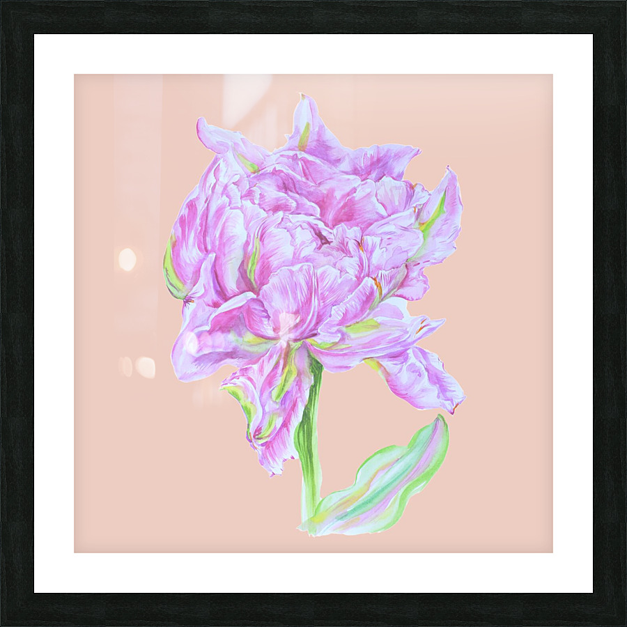 tulip34 Picture Frame print