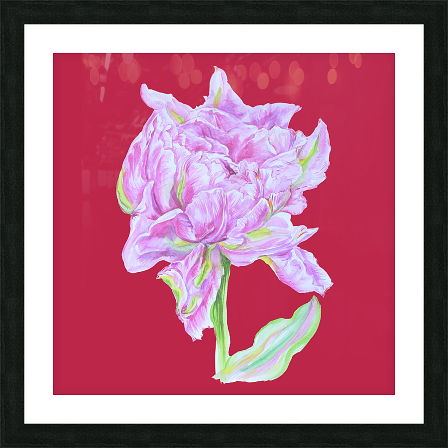 tulip35 Picture Frame print
