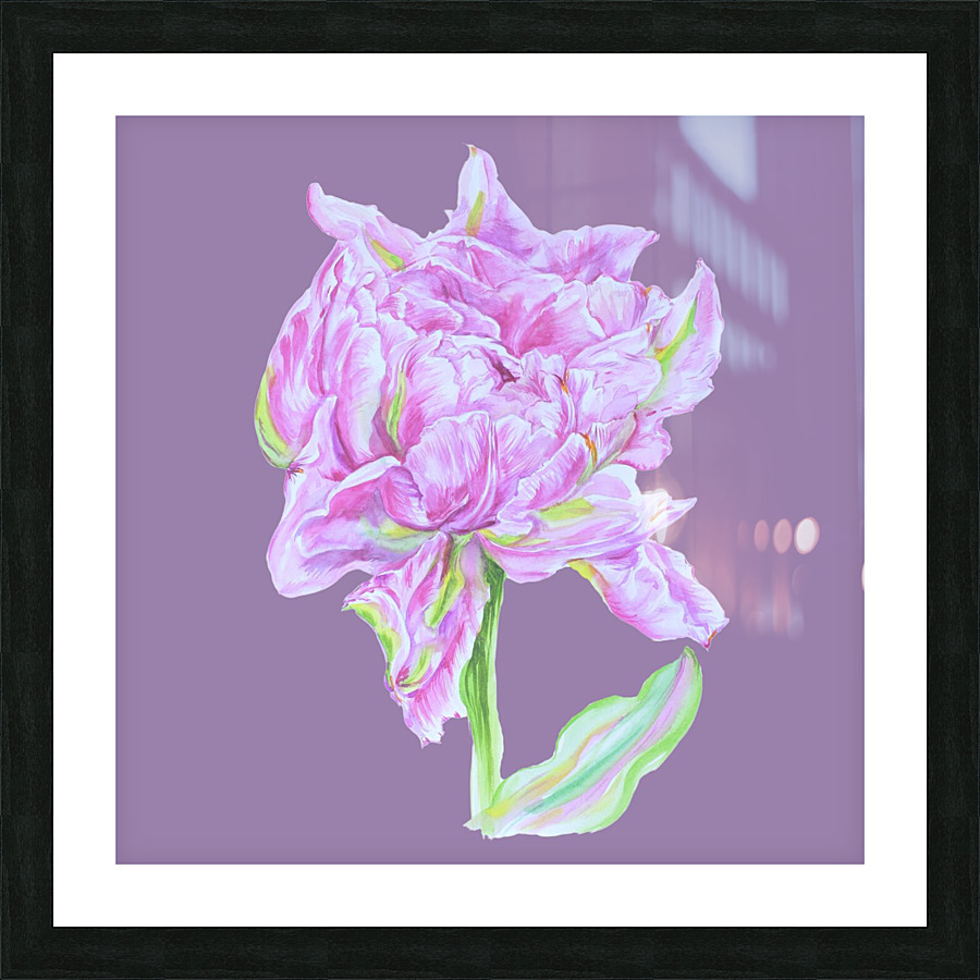 tulip38 Picture Frame print