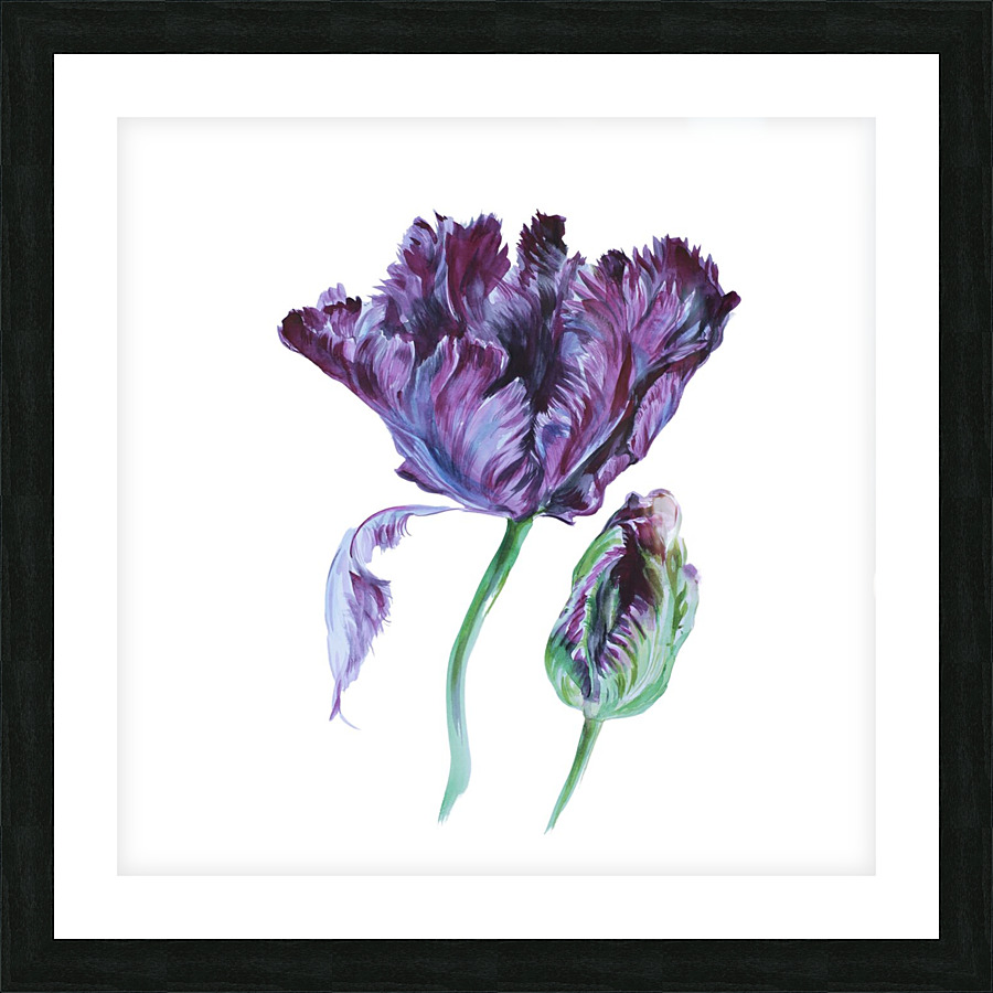 tulip202 Picture Frame print