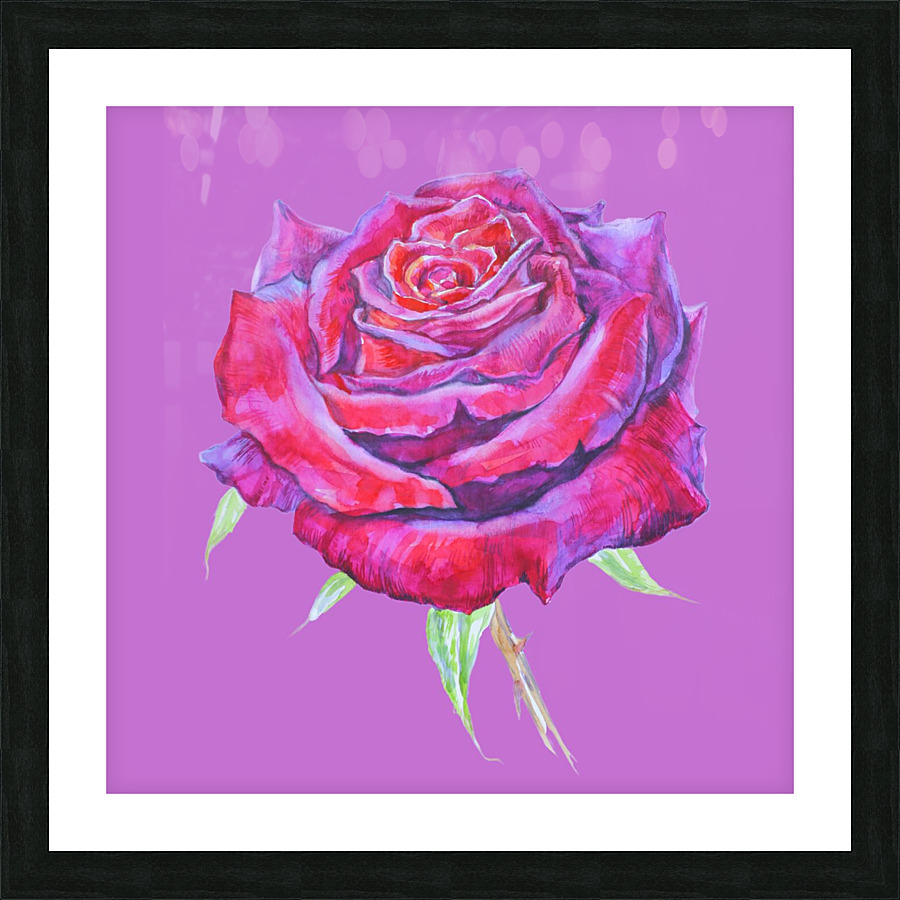 rosa14 Picture Frame Printing