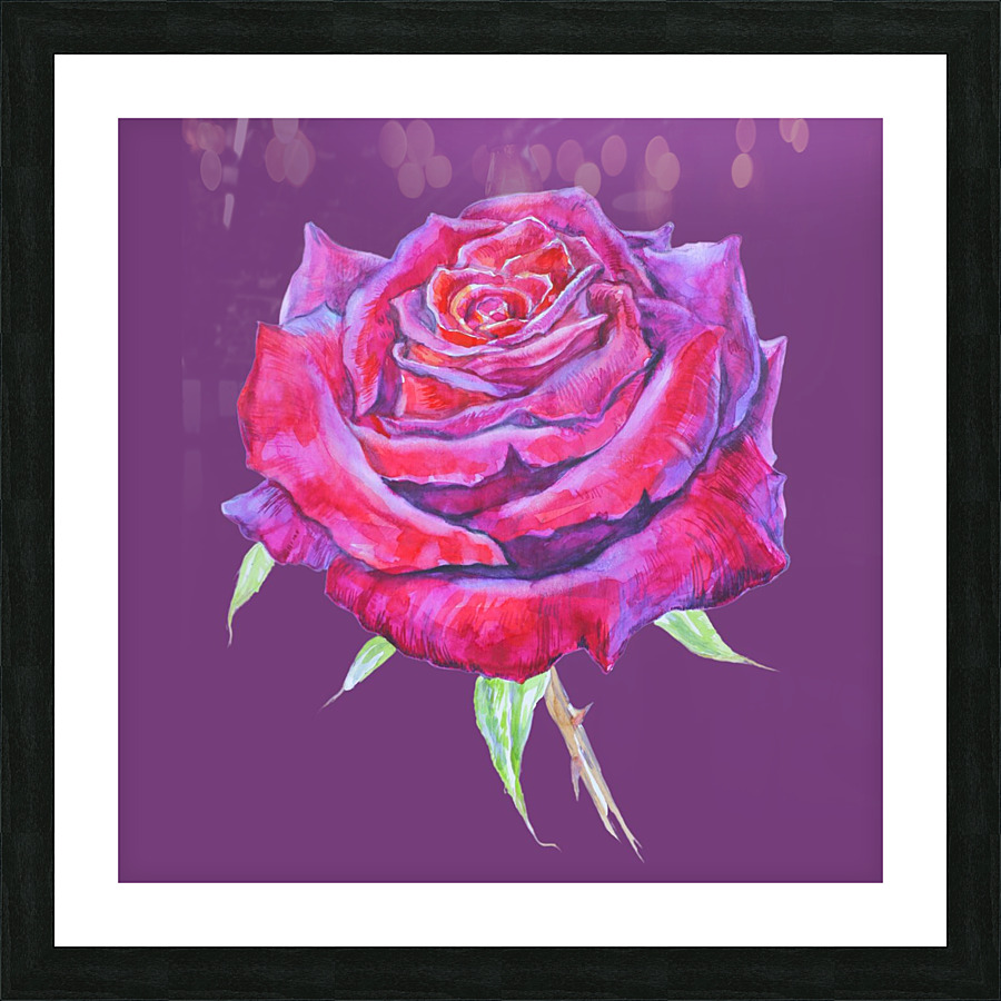 rosa13 Picture Frame Printing
