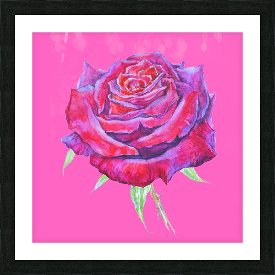 Rose16 Picture Frame Printing
