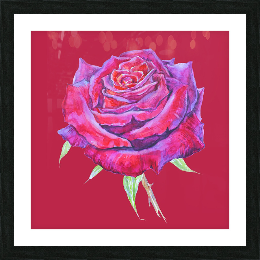 rosa12 Picture Frame Printing